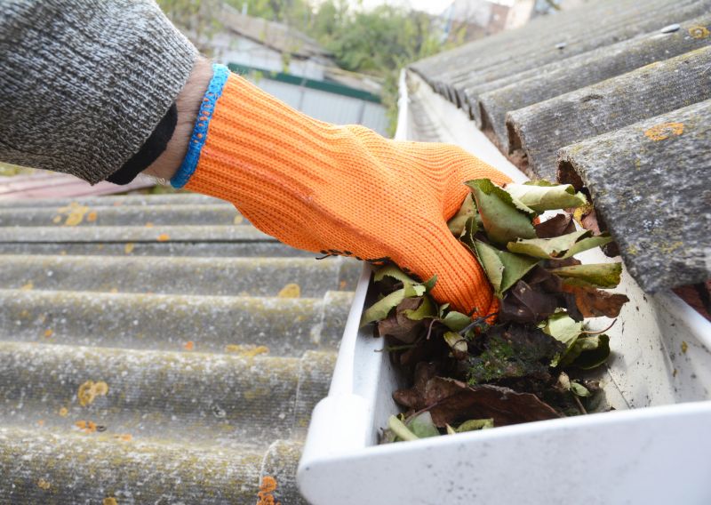 Business Gutter Cleaning in Littleton, CO