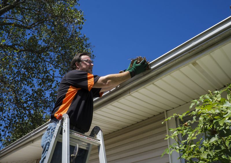 Eavestrough Clearing in Long Island, NY
