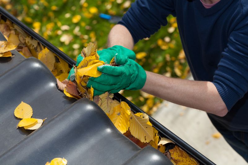 Gutter Leaf Clearing in Long Island, NY