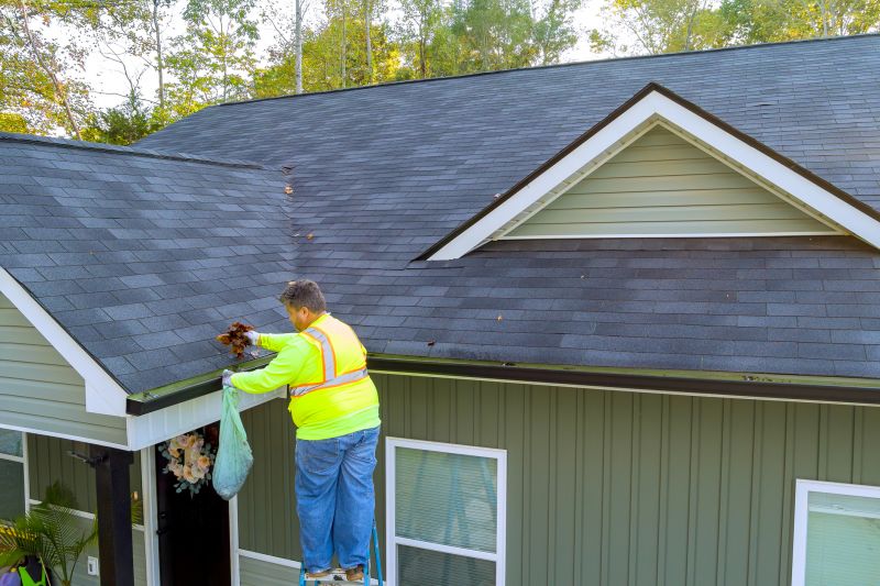 Gutter and Eaves Cleaning