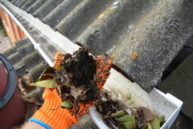 Roof Gutter Cleaning in Richmond, VA