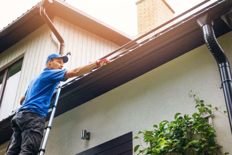 Roof Gutter Cleaning in Arvada, CO