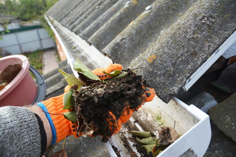 Roof Gutter Cleaning in Arvada, CO